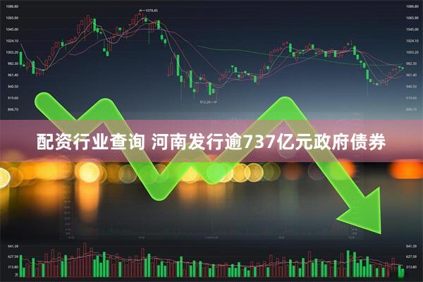 配资行业查询 河南发行逾737亿元政府债券